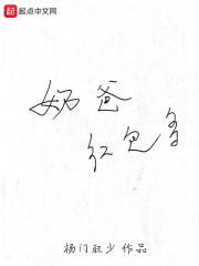奶爸多少钱