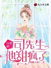 闪婚后司先生每天宠我