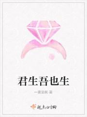君生吾生最简单解释