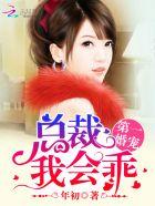 第一婚宠总裁太撩人很粘人