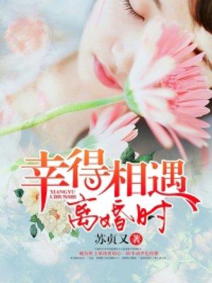幸得相遇离婚时女主角是谁
