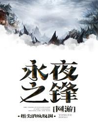 永夜之锋主角