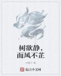树欲静而风不止下一句是啥