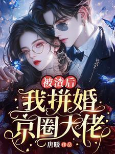 被渣后我嫁给了大佬免费