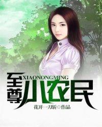 至尊小农民续集最新