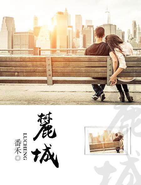 麓城印象用电户名
