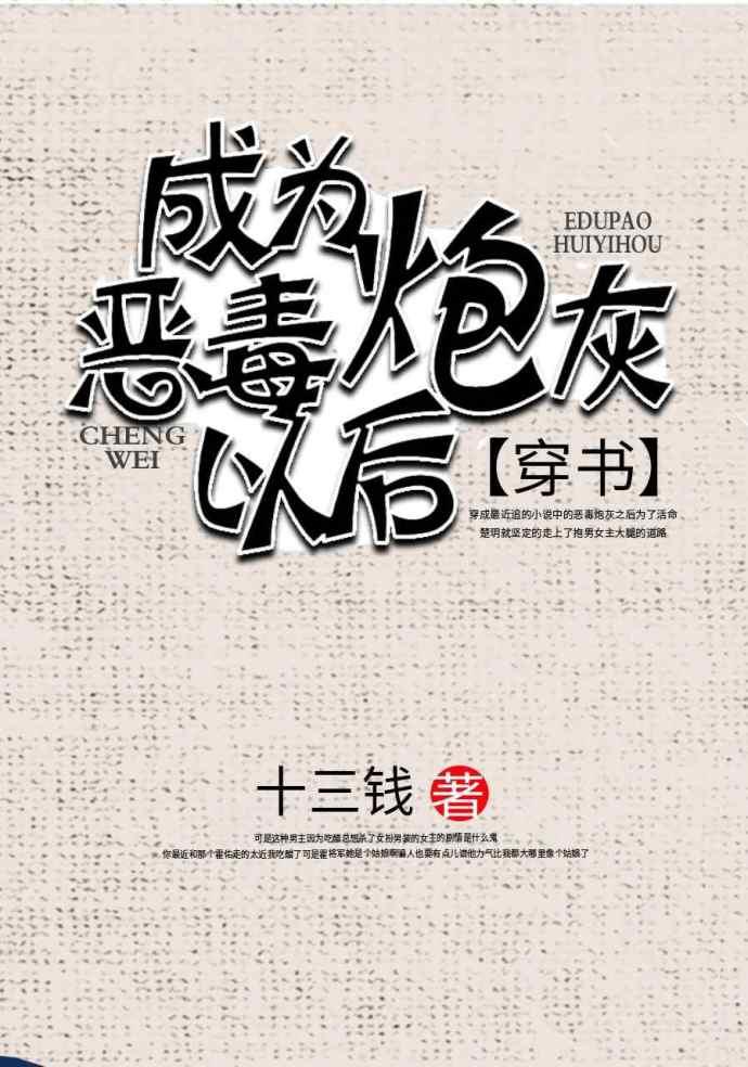 成了恶毒炮灰以后 十三钱