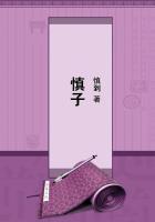 慎子树