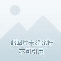 完美战神