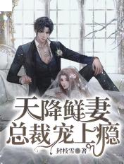天降鲜妻:总裁宠上瘾